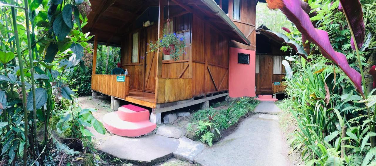 Cabanas Armonia Y Jardin De Orquideas Villa Mindo Exteriör bild