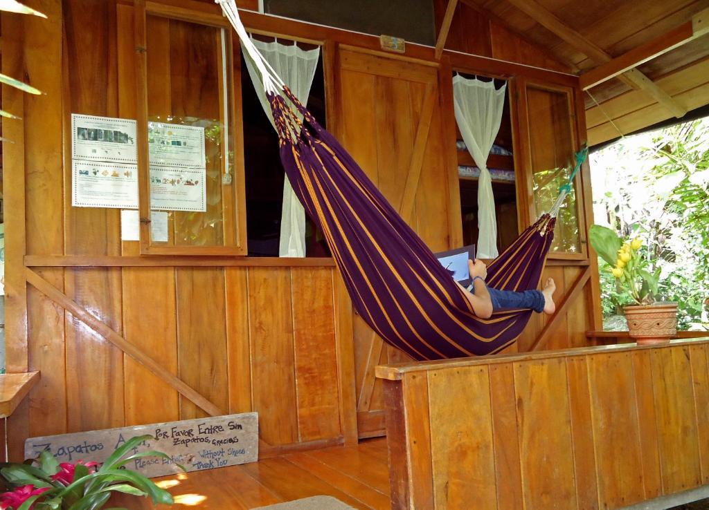 Cabanas Armonia Y Jardin De Orquideas Villa Mindo Rum bild