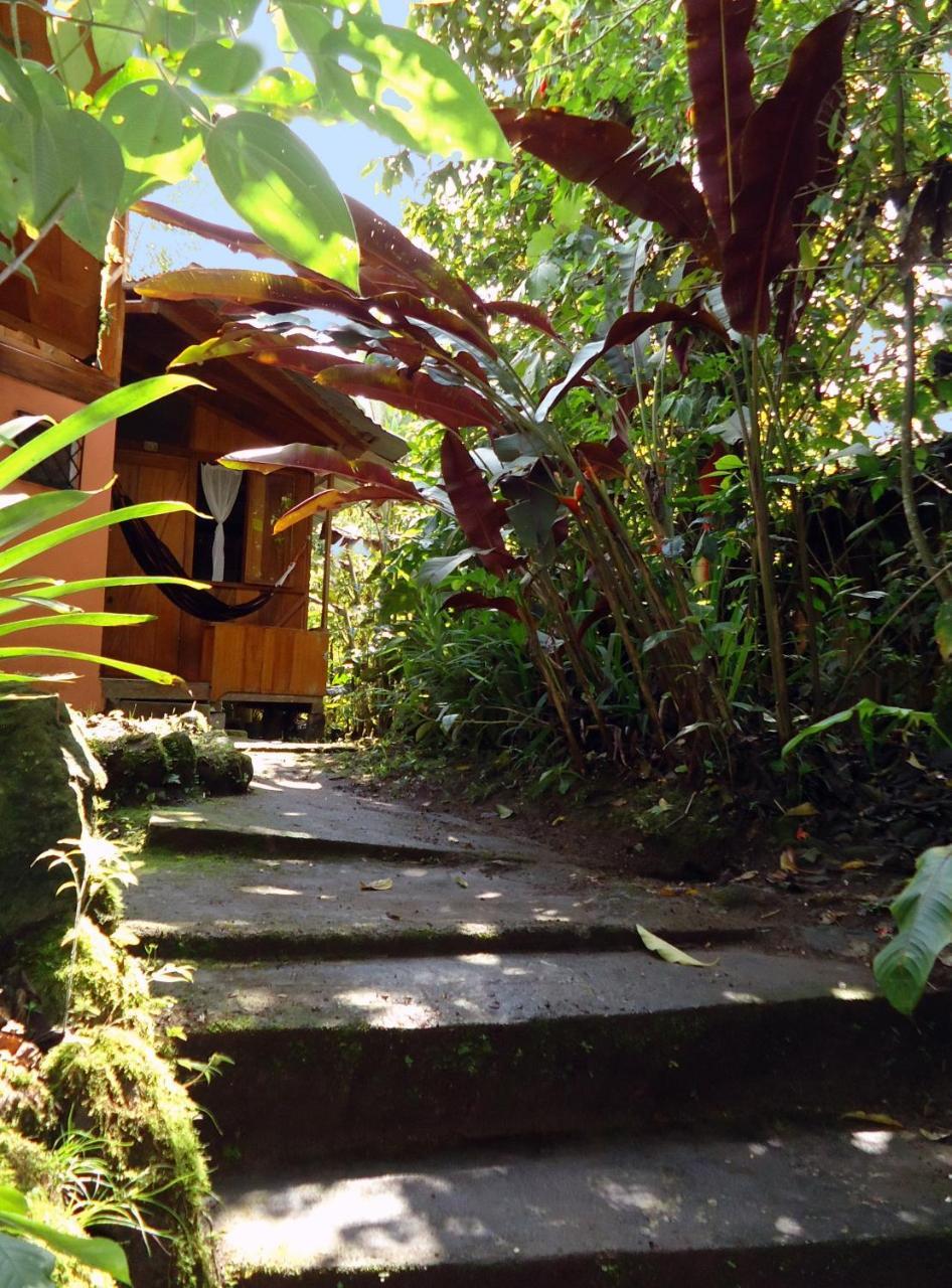 Cabanas Armonia Y Jardin De Orquideas Villa Mindo Exteriör bild